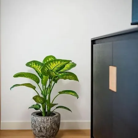 Apartamento Cansiglio